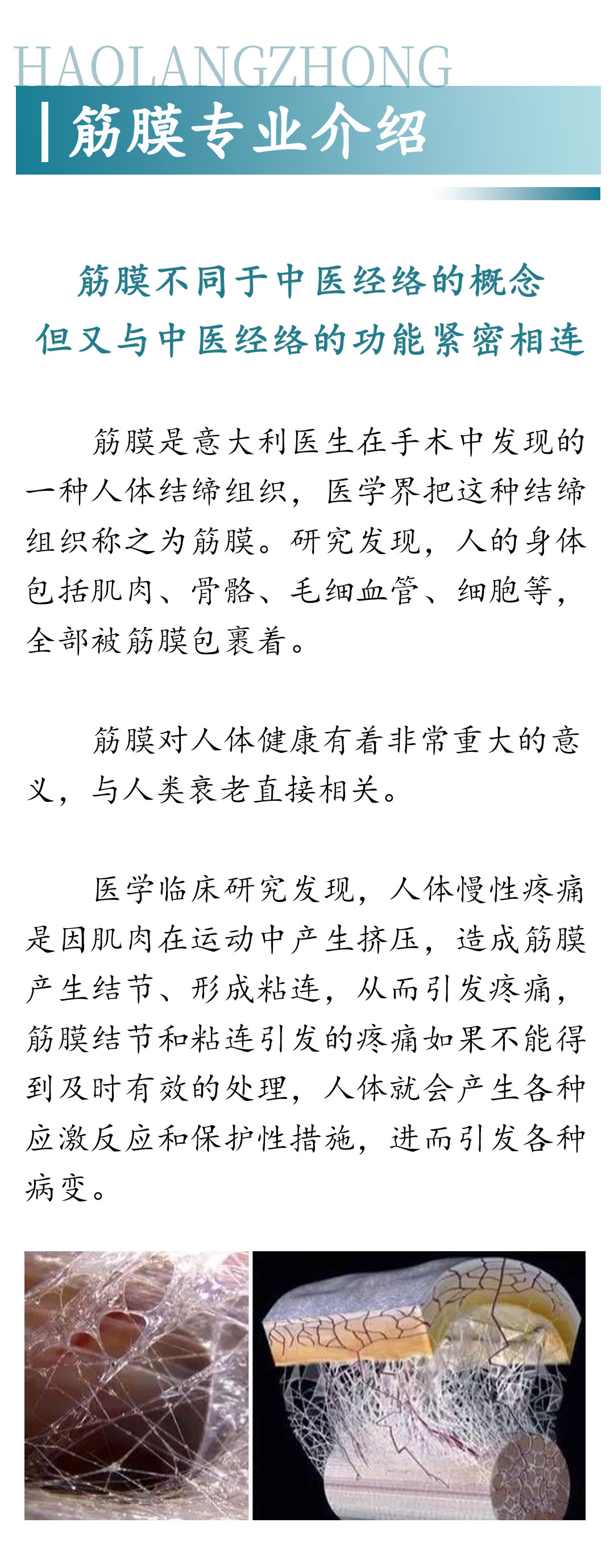 (竖版）第十二篇推文（身体有疼痛就找好朗仲）修改20250507（改内容）_03.jpg